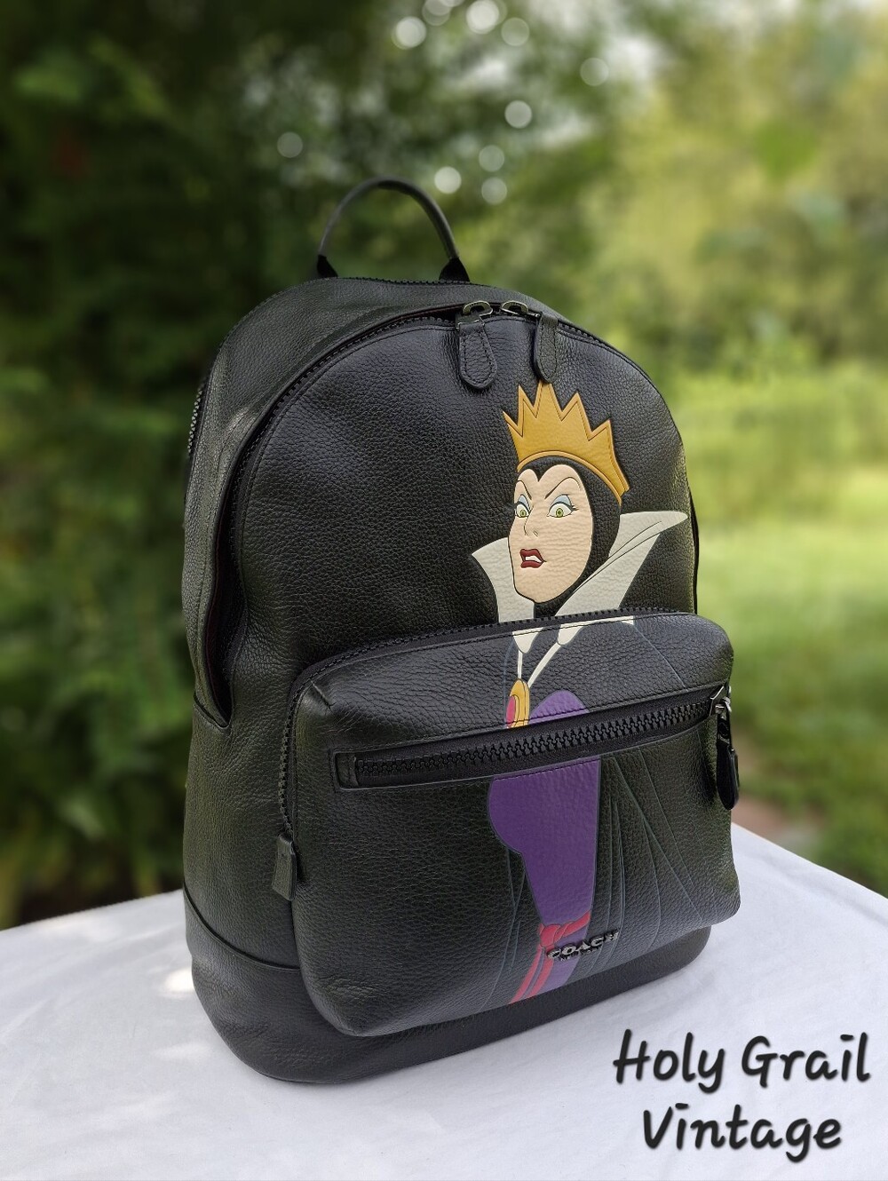 Limited Edition Disney × Coach West Backpack With Evil Queen Motif #CC042